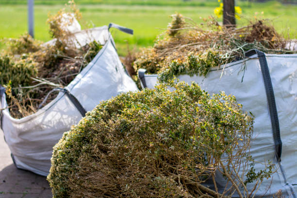 Best Attic Cleanout Services  in Odessa, MO